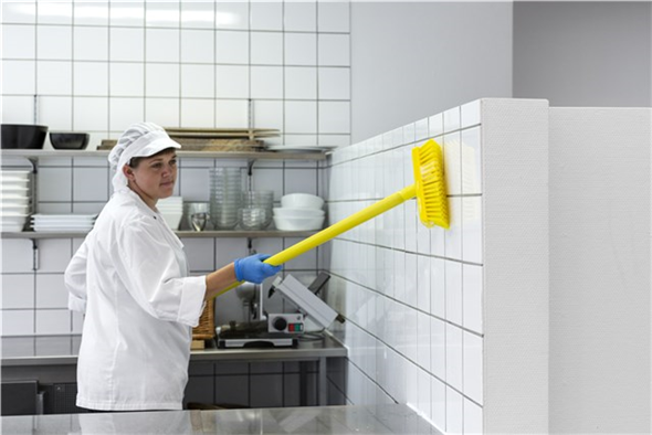 Perie pentru pereti-pardoseli, 225 mm, peri duri, Vikan, albastru