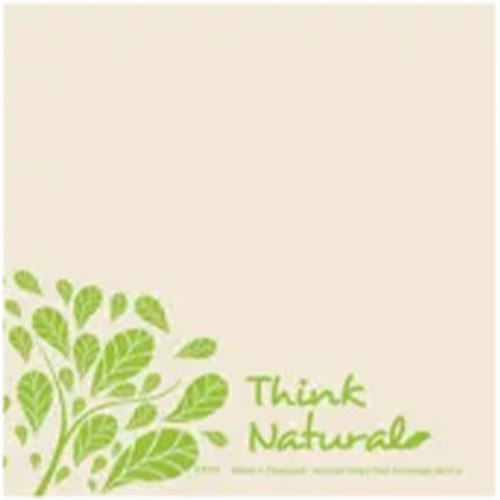 Servetele 33x33 cm 2 straturi, Natural Style, Fato