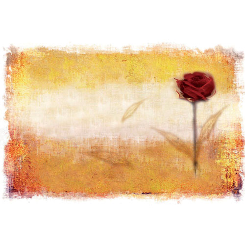 Suport farfurie (placemat) din hartie 35x50 cm, Romance, Fato